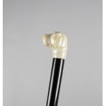 λ AN IVORY HANDLED WALKING CANE C.1920-30 in the form of a dog's head, wearing a collar and with