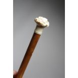 λ A LATE VICTORIAN IVORY HANDLED WALKING CANE C.1890 the pommel carved with twelve different dog's