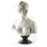 AFTER THE ANTIQUE. AN ITALIAN CARVED WHITE MARBLE GRAND TOUR BUST OF THE VENUS DE MILO 19TH