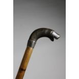 A HORN HANDLED WALKING CANE C.1900 carved in the form of a sealion's head, with a silvered metal