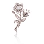 A diamond floral spray brooch, the principal flower centrally set with a brilliant-cut diamond,