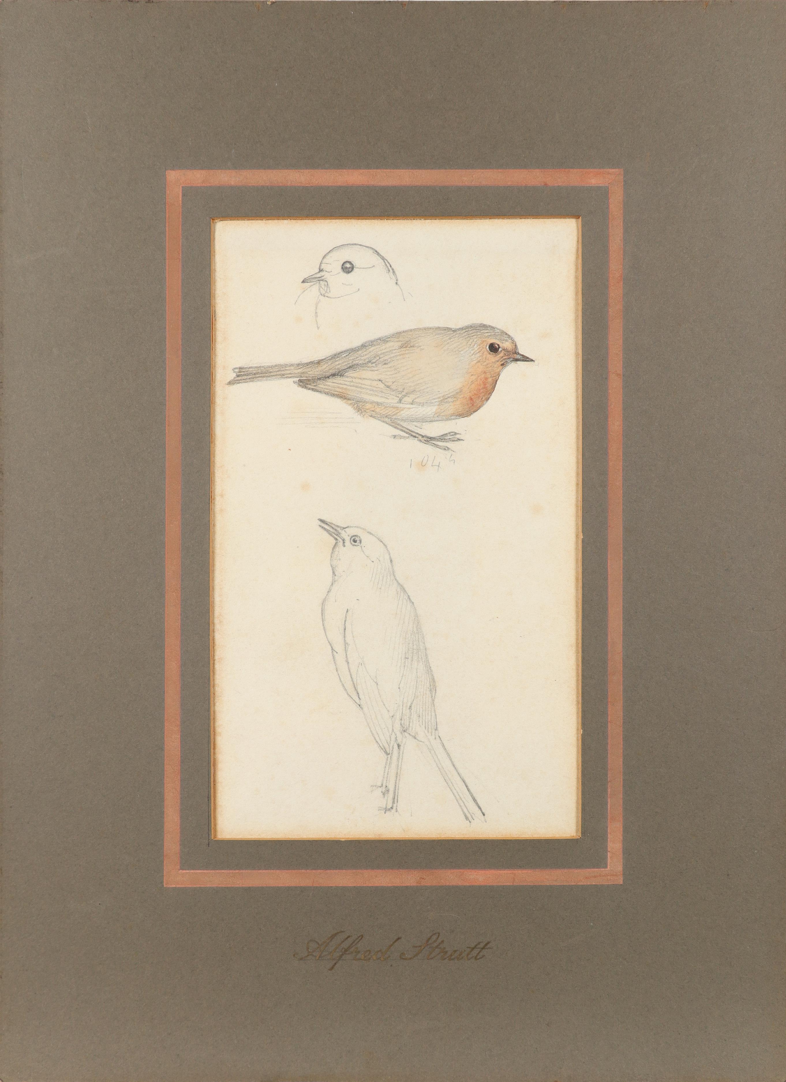 Alfred William Strutt (1856-1924) Study of pigeons; Study of robins Two, both variously inscribed - Image 5 of 6