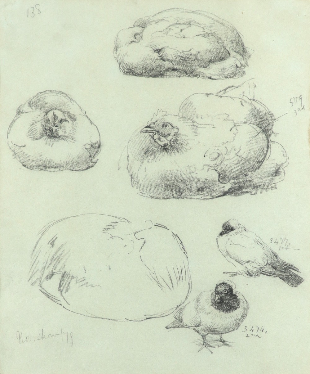 Alfred William Strutt (1856-1924) Study of chickens; Poultry, Belgium; Study of ducks Three, one