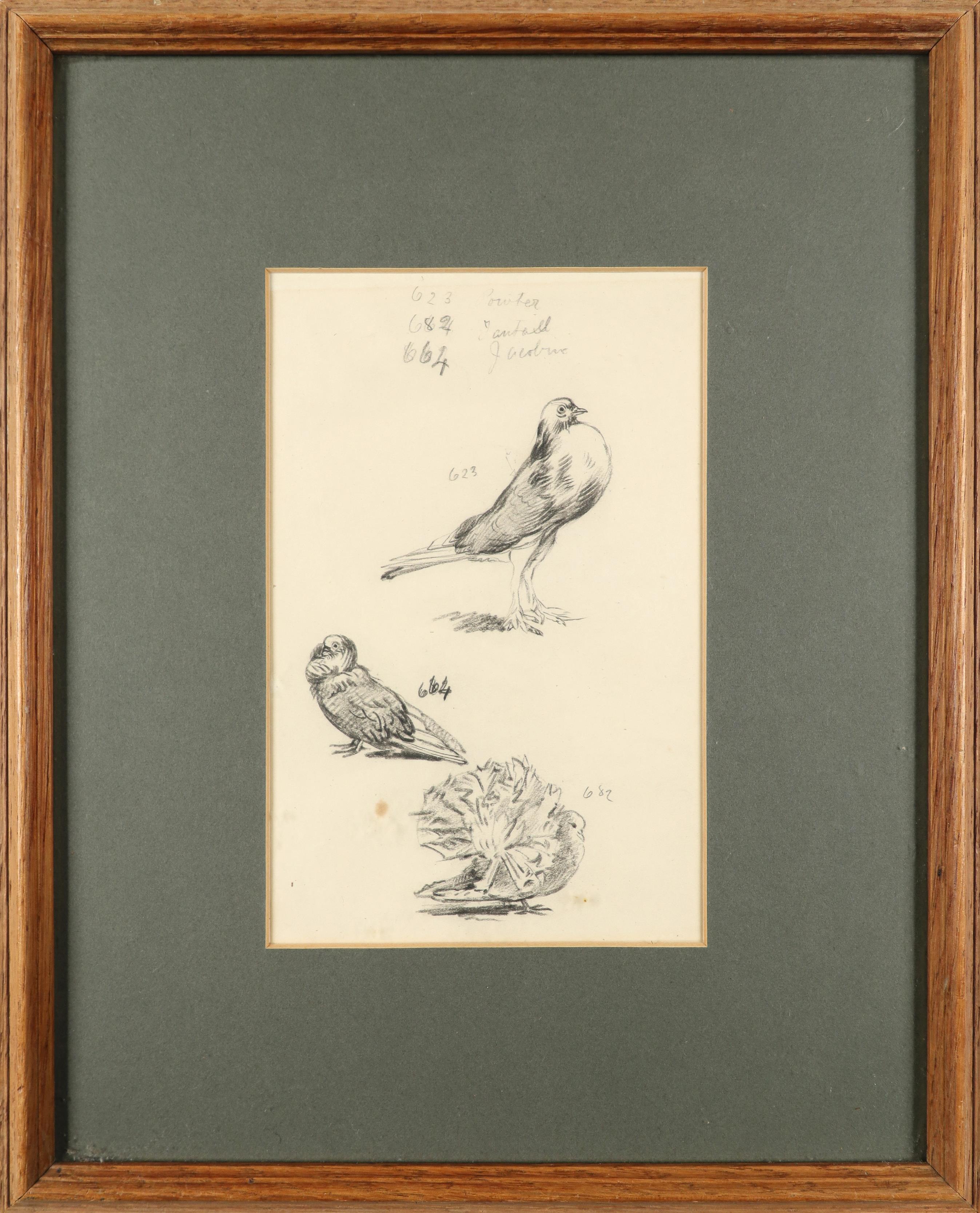 Alfred William Strutt (1856-1924) Study of pigeons; Study of robins Two, both variously inscribed - Image 2 of 6