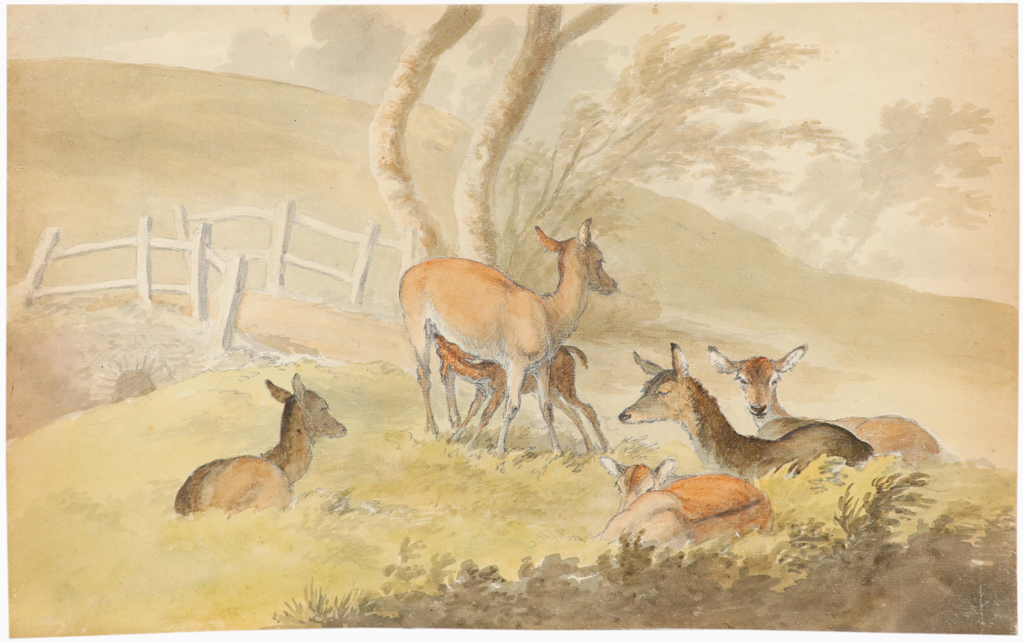 Robert Hills (1769-1844) Woodland scene with does and a fawn Watercolour and pencil 26 x 37.6cm; 10¼ - Image 2 of 3