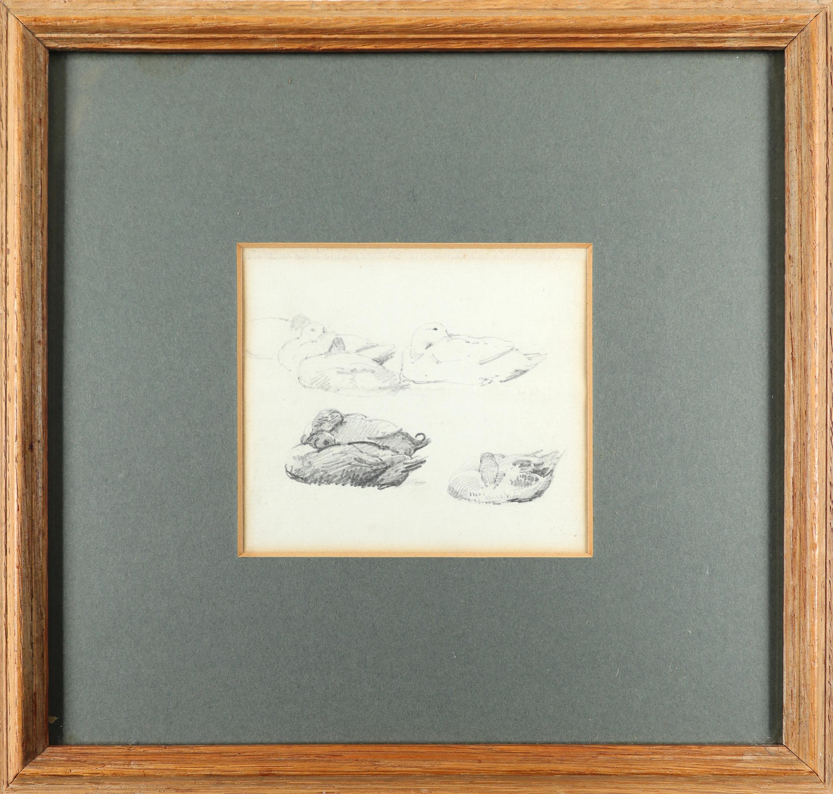 Alfred William Strutt (1856-1924) Study of chickens; Poultry, Belgium; Study of ducks Three, one - Image 8 of 9