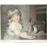 After John Russell (1745-1806) The Favourite Rabbit; Tom and his Pidgeons Two, both stipple