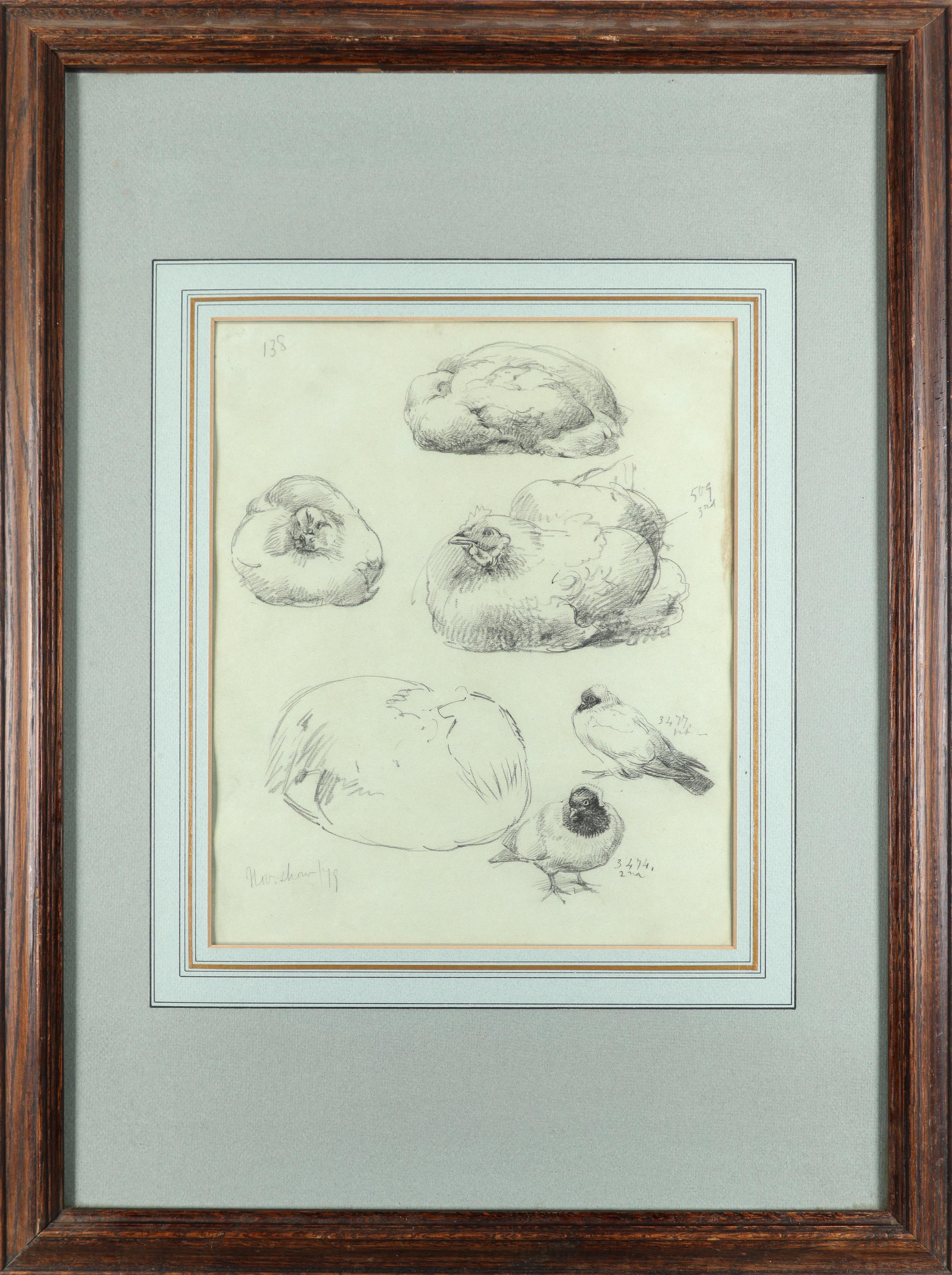 Alfred William Strutt (1856-1924) Study of chickens; Poultry, Belgium; Study of ducks Three, one - Image 2 of 9