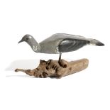 A FOLK ART CARVED AND PAINTED PINE DECOY PIGEON FIRST HALF 20TH CENTURY with glass eyes, mounted