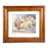 A WATERCOLOUR PAINTING OF A PRIDE OF LIONS BY CUTHBERT EDMUND SWAN (IRISH 1870-1931) signed and