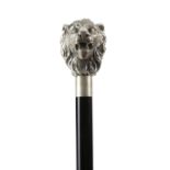 A SILVER PLATED LION'S HEAD WALKING CANE EARLY 20TH CENTURY with a white metal collar, with an