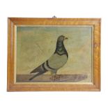 A FOLK ART PAINTING OF A RACING PIGEON EARLY 20TH CENTURY oil on canvas, laid on board, inscribed '