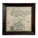 AN EARLY VICTORIAN NAIVE NEEDLEWORK SAMPLER BY LUCY COLLETT worked with polychrome silks on a