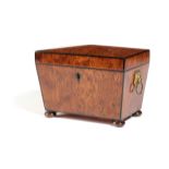 A REGENCY BURR YEW TEA CHEST EARLY 19TH CENTURY of sarcophagus shape, with ebonised stringing, the