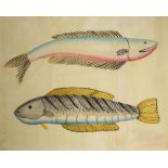 A BENGAL WATERCOLOUR OF TWO FISH KALIGHAT SCHOOL C.1900 Depicting two colourful boal fish on a