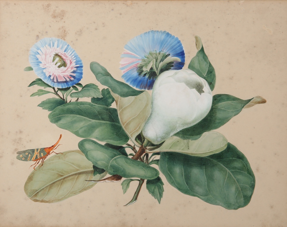 ANONYMOUS (19TH CENTURY) FRUITS AND FLOWERS Three Chinese export paintings, one in gouache, - Image 2 of 3