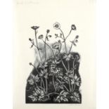 ‡John Nash CBE, RA (1893-1977) Field Buttercup Signed and inscribed Field Buttercup/33/John Nash (in