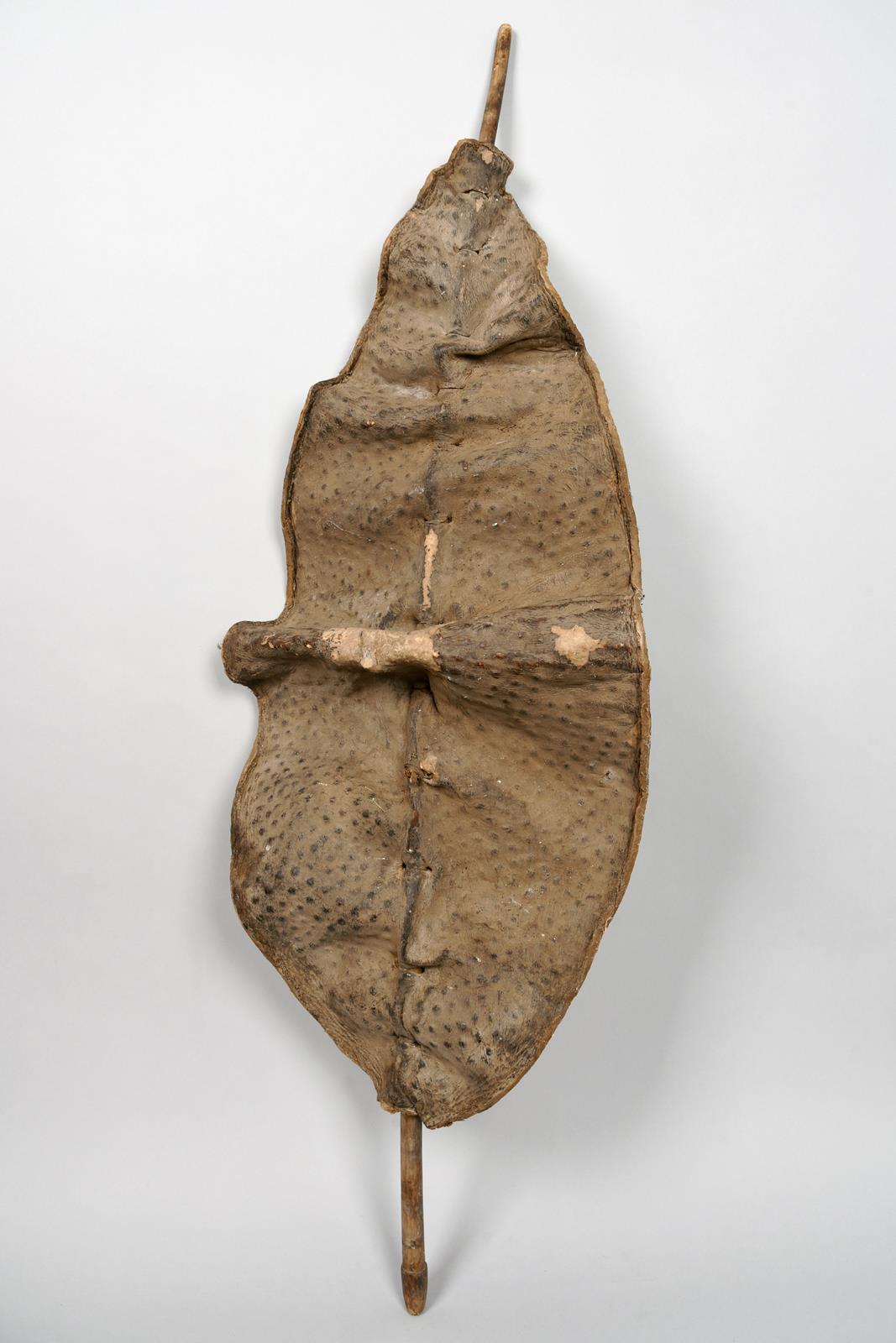 A Dinka shield South Sudan hide with embossed dimples and with a wooden shaft, 139.5cm long.
