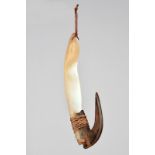 λA Caroline Islands fish hook Micronesia shell, turtleshell and fibre, 10cm long. Provenance The