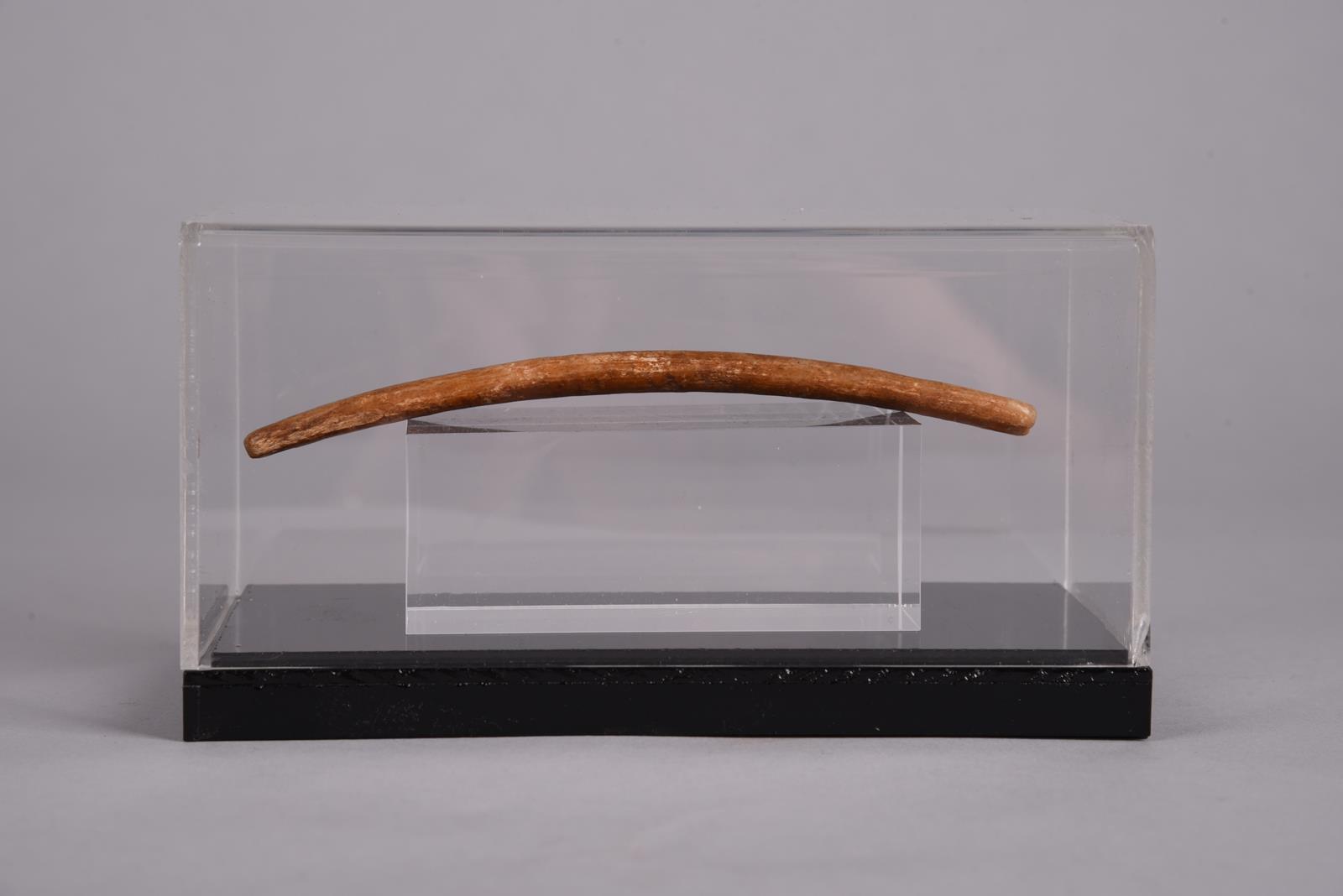 An Inuit handle bag handle Arctic, 19th century bone, curved with attachment holes and grooves to - Image 2 of 2