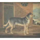 Early 19th century school - Study of a standing German Shepherd dog outside a stable and with