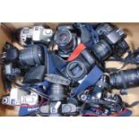 A box of Canon Auto Focus 35mm SLR ? most with zoom lenses.