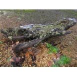 Oak stump 110 cm high