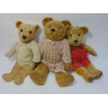 3 teddy bears with glass eyes, jointed body and stitched mouth and nose; largest, possibly