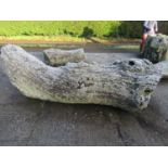 Oak log 240 cm long