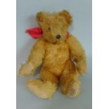 Small 1930's teddy bear 'A Farnell Alpha toy' with golden plush fur and jointed body, pronounced