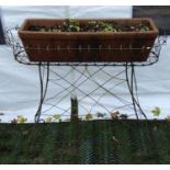 A Victorian wirework conservatory/garden planter with scroll and lattice detail, containing a more