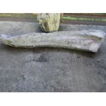 Oak log 290 cm long