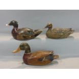 Three decoy ducks, two with painted finishes, the largest 25 cm long (3)