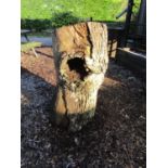 Oak stump 105 cm high