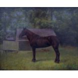 20th century school - Study of a horse standing in a landscape - Itta Duffa, oil on board,