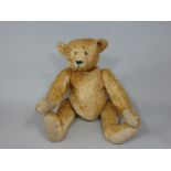 Vintage teddy bear, unmarked and with short golden silk-like plush, and with Steiff- like features