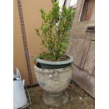 A reclaimed garden urn with repeating fruiting vine detail, together with a further pot containing a