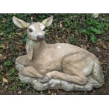 A recumbent deer in naturalistic painted finish 70 cm max