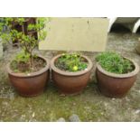 Three salt glazed garden pots, 50 cm diameter