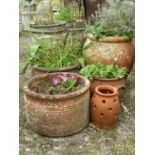 A pair of cylindrical terracotta pots, 38 cm diameter, further oviform terracotta pot and two others