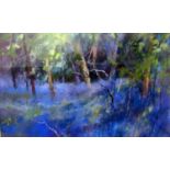 Jane Lampard (Contemporary local artist) - April Morning, Westridge Woods, pastel on paper,