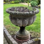 A reclaimed garden urn, the circular lobbed bowl raised on a drawn circular base (planted) 55 cm