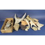 A collection of early archaic finds to include horns, bones, pots, ammonite, etc (a collection)