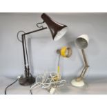 A mixed lot to include a Habitat Maclamp, an anglepoise lamp, a snake lamp (3)