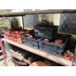 A large quantity (100+) reclaimed terracotta flower pots of varying size, a number weathered (af)