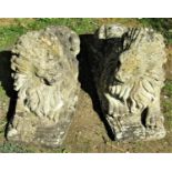 A pair of reclaimed garden ornaments in the form of recumbent lions, 56cm long x 20cm wide x 38cm