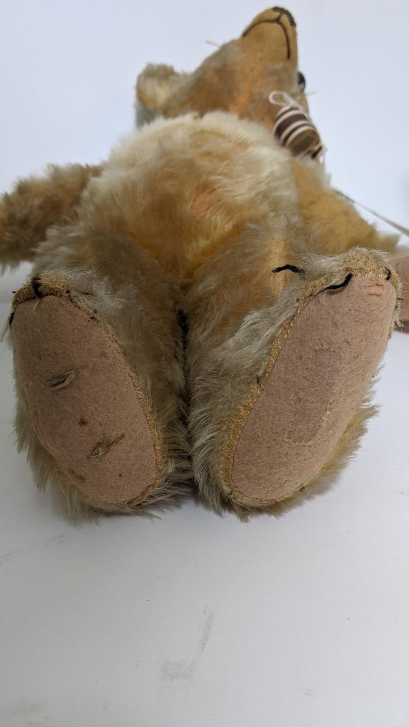 1930's teddy bear possibly by Merrythought with golden mohair, slight humped back, glass eyes, - Image 5 of 5