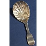 William IV silver shell bowl caddy spoon, maker William Collins, London 1832, 10 cm long