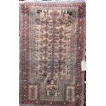 Antique Afghan rug decorated centrally decorated with birds upon branches with fawn ground, 150 x 80