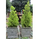 A pair of faux lead (fibre glass) square planters with face mask winged dragon and scrolling foliate